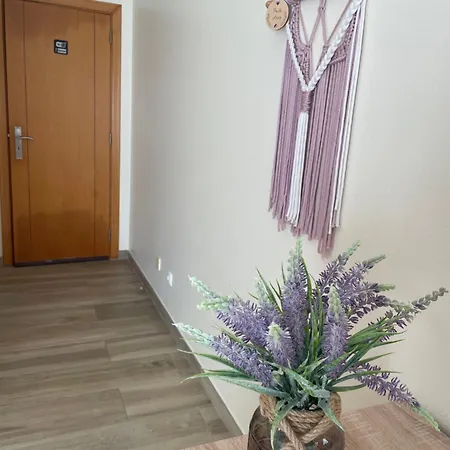 Casa Luar- Gæstehus Carvoeiro (Lagoa)